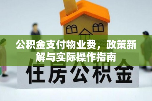 杨浦公积金支付物业费，政策新解与实际操作指南