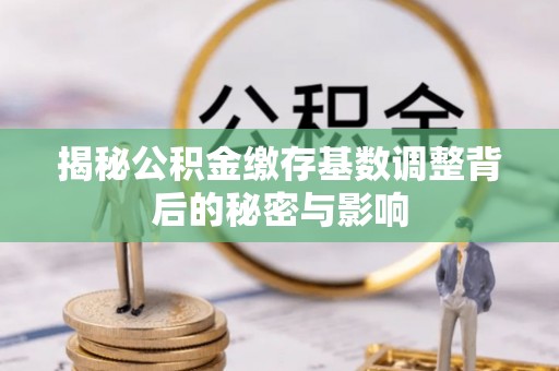 杨浦揭秘公积金缴存基数调整背后的秘密与影响