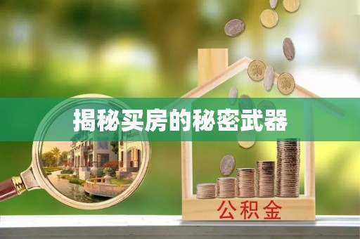 杨浦揭秘买房的秘密武器