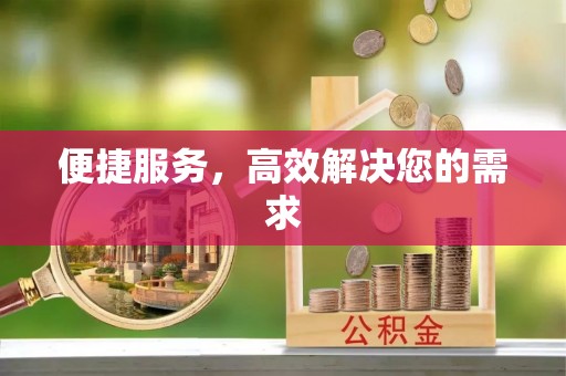 杨浦便捷服务，高效解决您的需求