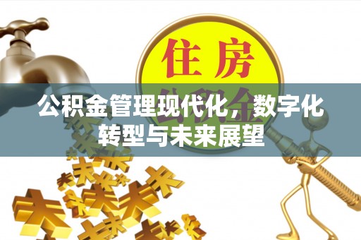 杨浦公积金管理现代化，数字化转型与未来展望