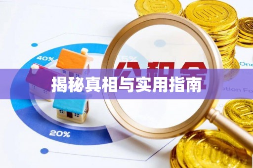 杨浦揭秘真相与实用指南