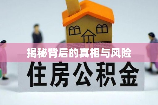 杨浦揭秘背后的真相与风险