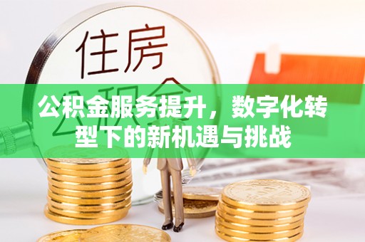 杨浦公积金服务提升，数字化转型下的新机遇与挑战