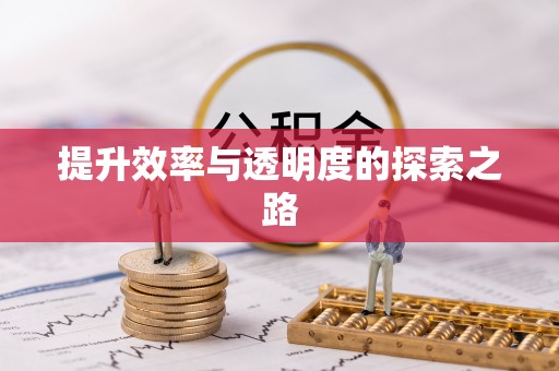 杨浦提升效率与透明度的探索之路