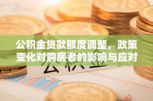 杨浦公积金贷款额度调整，政策变化对购房者的影响与应对策略