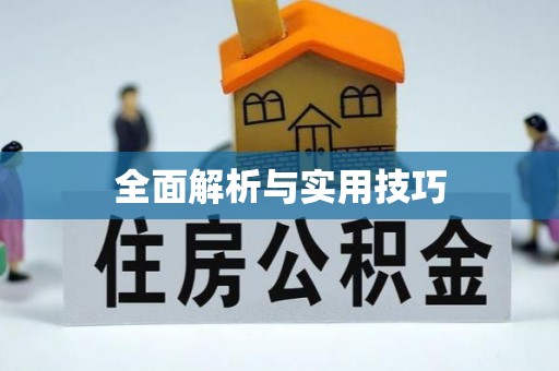 杨浦全面解析与实用技巧