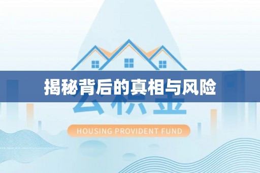 杨浦揭秘背后的真相与风险