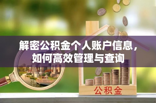 杨浦解密公积金个人账户信息，如何高效管理与查询