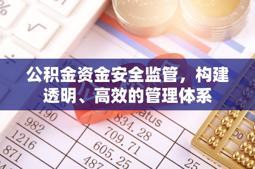 杨浦公积金资金安全监管，构建透明、高效的管理体系
