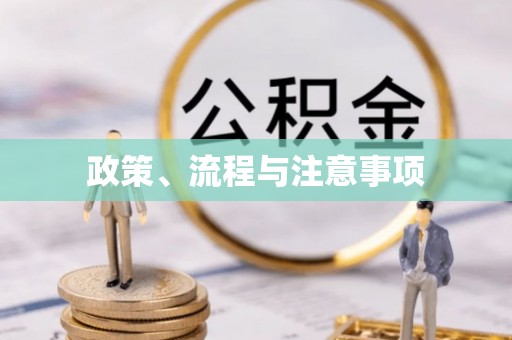 杨浦政策、流程与注意事项