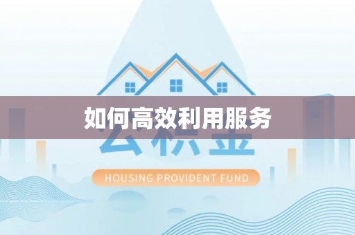 杨浦如何高效利用服务