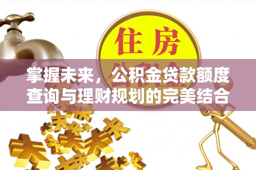 杨浦掌握未来，公积金贷款额度查询与理财规划的完美结合