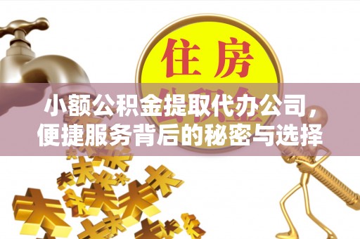 杨浦小额公积金提取代办公司，便捷服务背后的秘密与选择指南