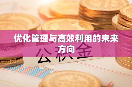 杨浦优化管理与高效利用的未来方向