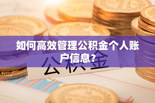 杨浦如何高效管理公积金个人账户信息？