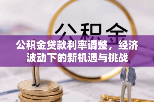 杨浦公积金贷款利率调整，经济波动下的新机遇与挑战