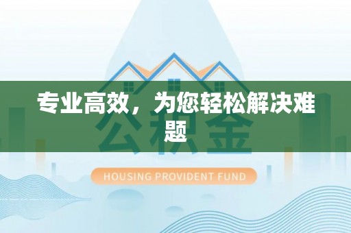 杨浦专业高效，为您轻松解决难题