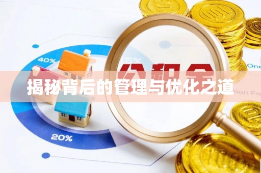 杨浦揭秘背后的管理与优化之道