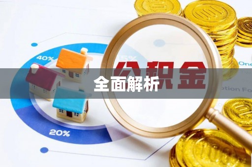 杨浦全面解析