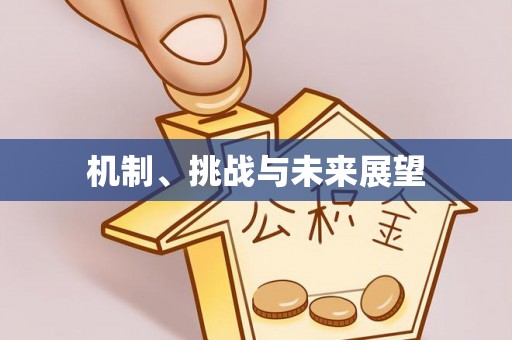 杨浦机制、挑战与未来展望