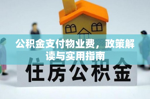 杨浦公积金支付物业费，政策解读与实用指南