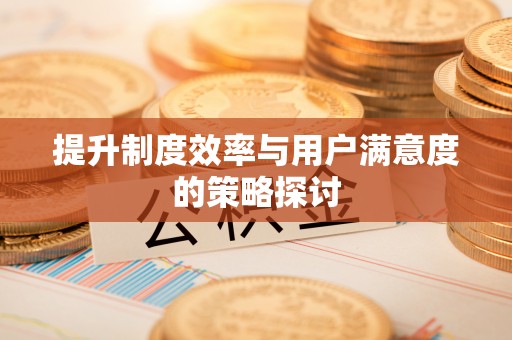 杨浦提升制度效率与用户满意度的策略探讨
